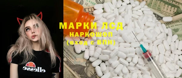 таблы Новозыбков